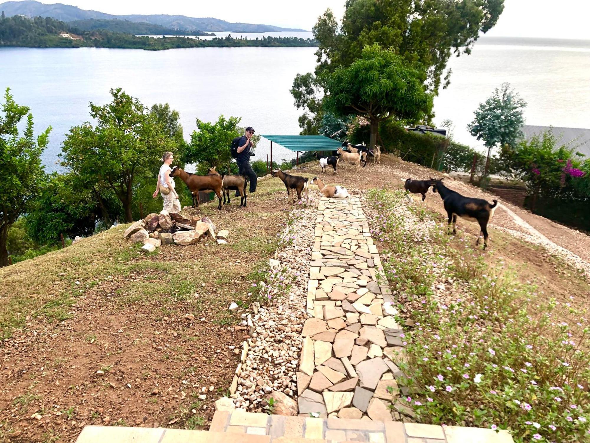 Amazi Land Home And Farm Stay Kibuye Экстерьер фото